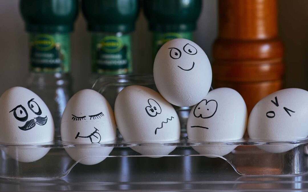 The Basics of Emotional Intelligence